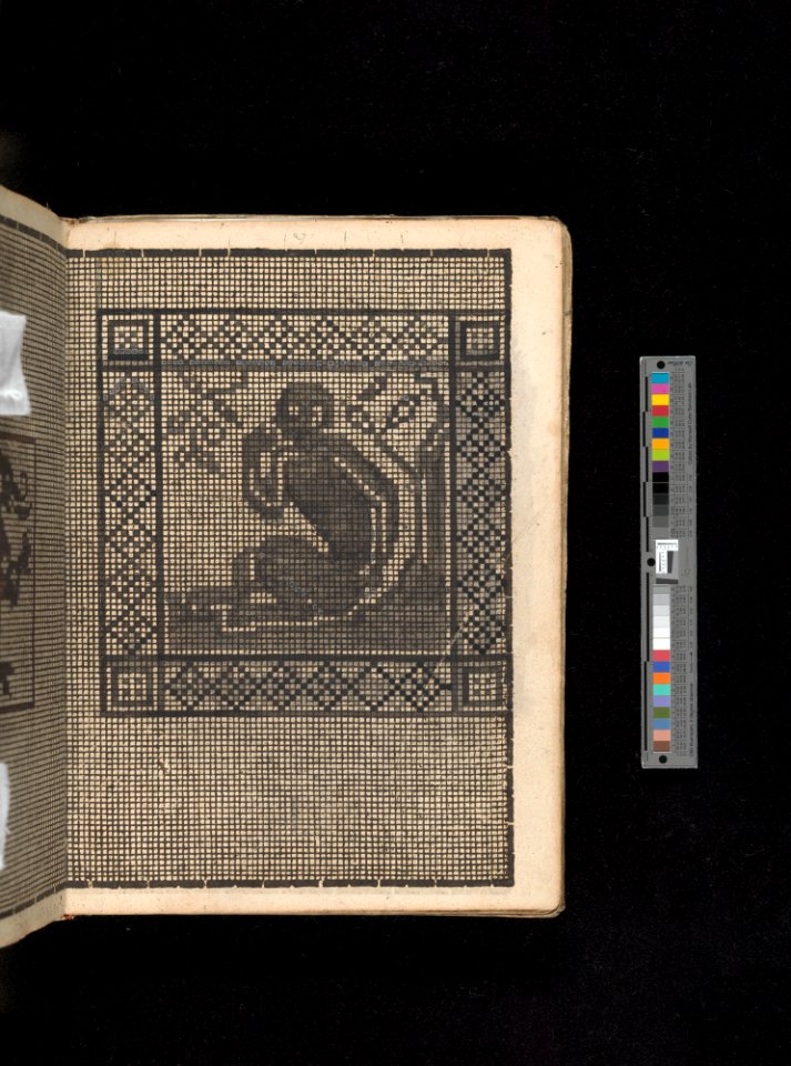 Manuscript album of designs for lace and embroidery MET DP356658