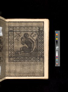 Manuscript album of designs for lace and embroidery MET DP356658
