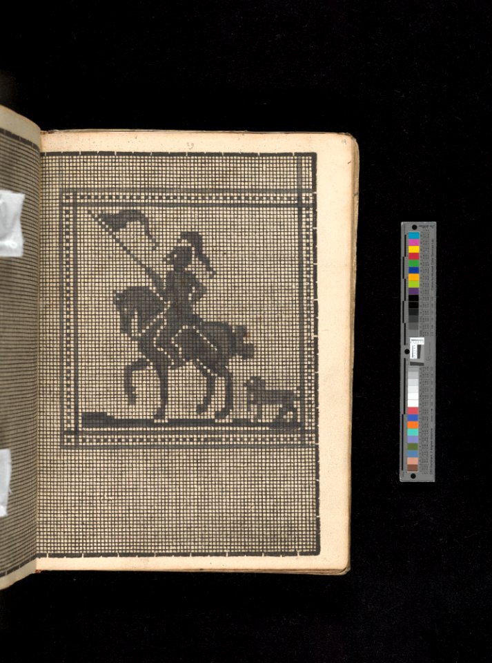Manuscript album of designs for lace and embroidery MET DP356660