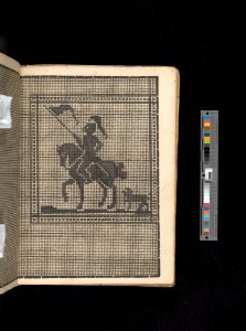 Manuscript album of designs for lace and embroidery MET DP356660