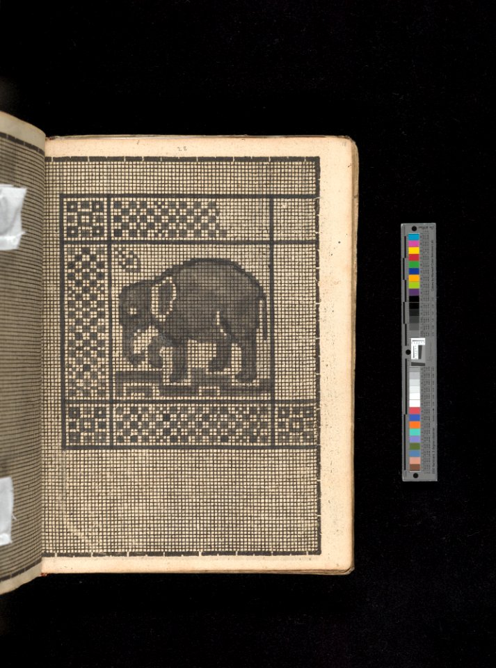 Manuscript album of designs for lace and embroidery MET DP356659