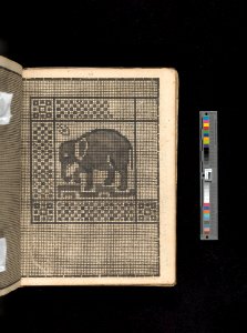 Manuscript album of designs for lace and embroidery MET DP356659