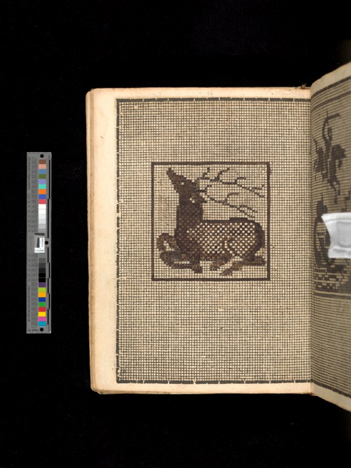 Manuscript album of designs for lace and embroidery MET DP356655