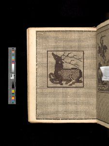Manuscript album of designs for lace and embroidery MET DP356655