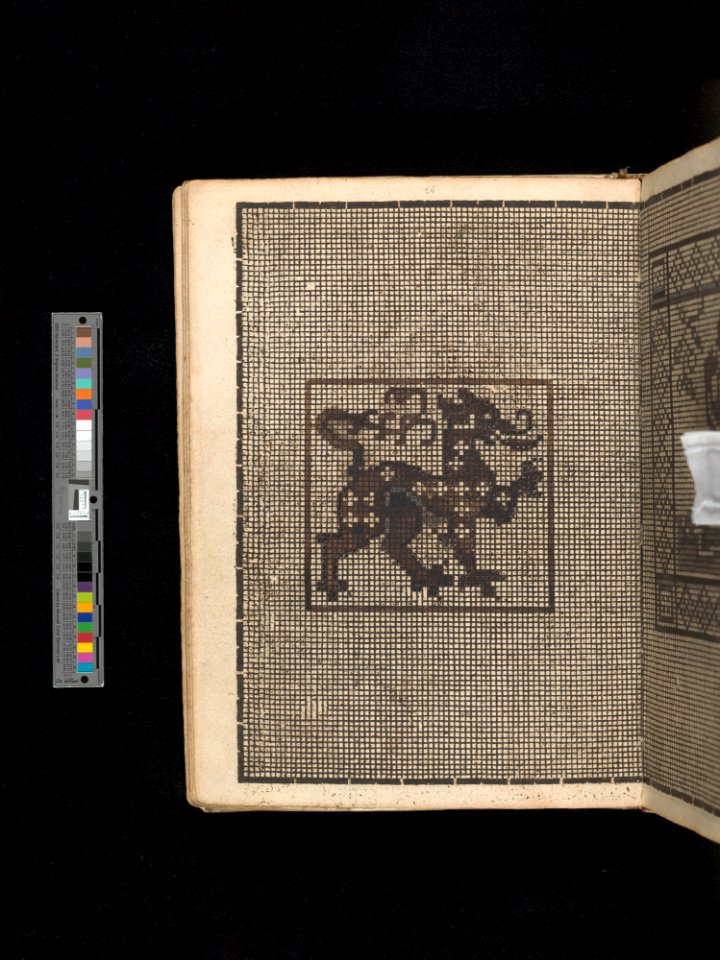 Manuscript album of designs for lace and embroidery MET DP356657