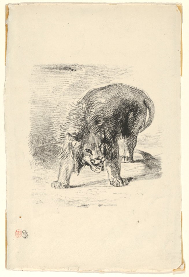 Lion Standing MET DP852093