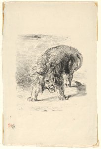 Lion Standing MET DP852093