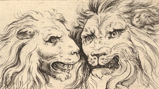 Lions in art, Studies of Heads MET DP819524 (cropped)