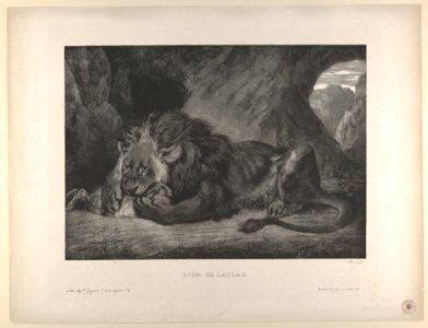 Lion of the Atlas Mountains MET DP852121