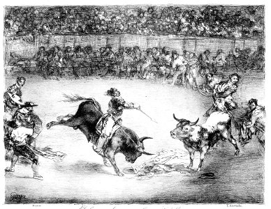 Mariano Ceballos riding a bull from the 'Bulls of Bordeaux' MET 22ZZ BG039R2M