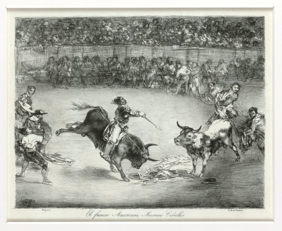 Mariano Ceballos riding a bull from the 'Bulls of Bordeaux' MET DP124106
