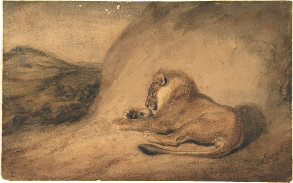 Lion Resting MET DP805136