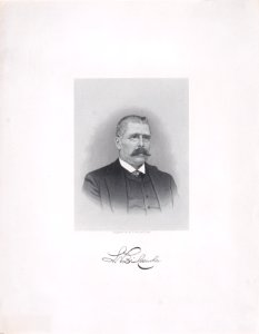Luigi Palma di Cesnola Met DP888801