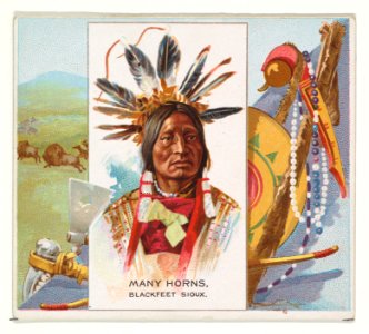 Many Horns, Blackfeet Sioux, from the American Indian Chiefs series (N36) for Allen & Ginter Cigarettes MET DP838950