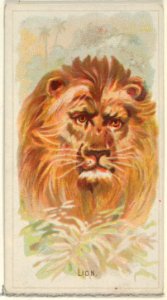 Lion, from the Wild Animals of the World series (N25) for Allen & Ginter Cigarettes MET DP836496