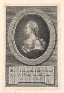 Marie Antoinette, Princess MET DP874412
