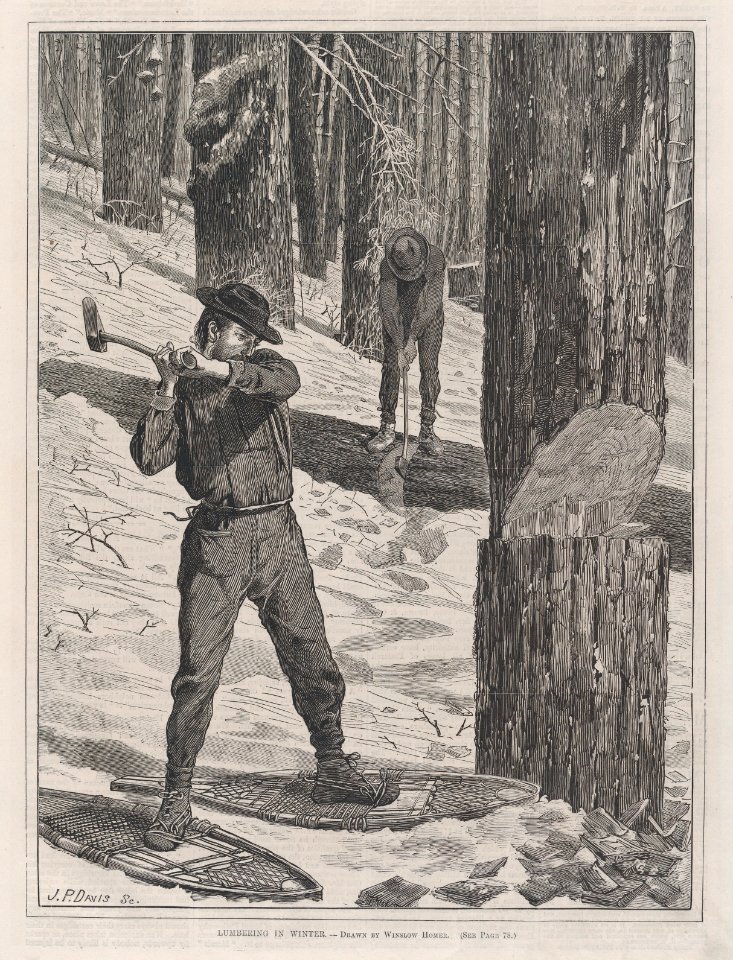 Lumbering in Winter – Drawn by Winslow Homer (Every Saturday, Vol. II, New Series) MET DP875246