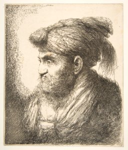 Man weraing a turban facing left MET DP816504