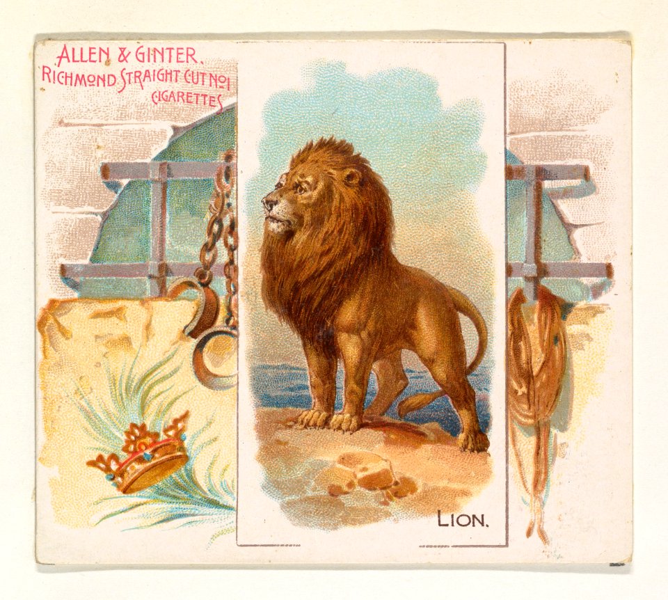 Lion, from Quadrupeds series (N41) for Allen & Ginter Cigarettes MET DP839217