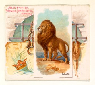 Lion, from Quadrupeds series (N41) for Allen & Ginter Cigarettes MET DP839217