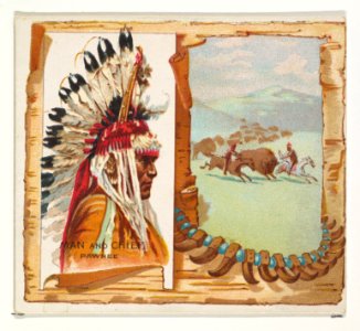Man and Chief, Pawnee, from the American Indian Chiefs series (N36) for Allen & Ginter Cigarettes MET DP838954