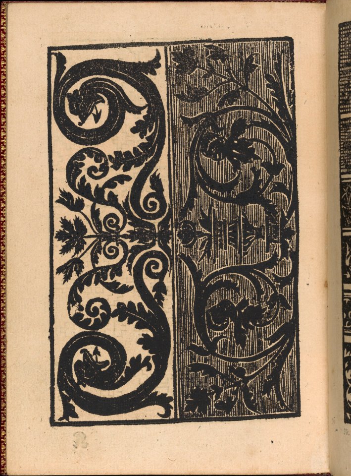 Modelbuch new, aller Art, Nehens und Stickens (page 35v) MET DP365127