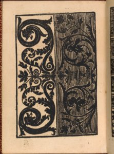 Modelbuch new, aller Art, Nehens und Stickens (page 35v) MET DP365127