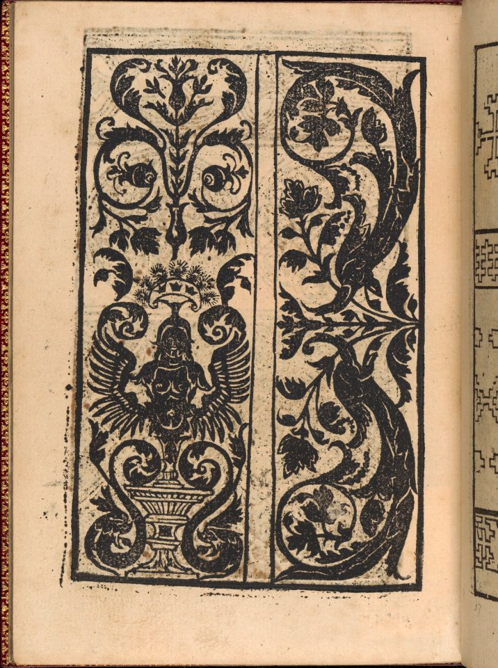 Modelbuch new, aller Art, Nehens und Stickens (page 34v) MET DP365125