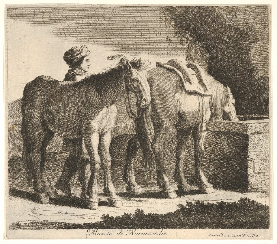 Masete de Normandie MET DP832465