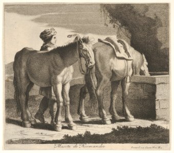 Masete de Normandie MET DP832465