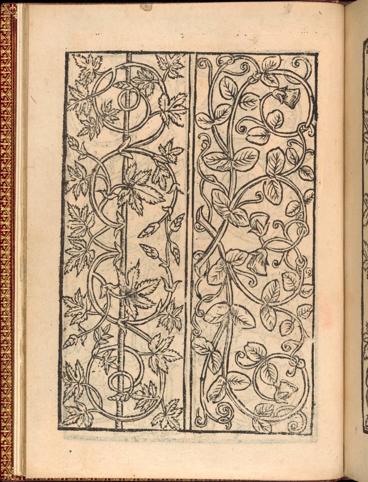Modelbuch new, aller Art, Nehens und Stickens (page 8r) MET DP365019