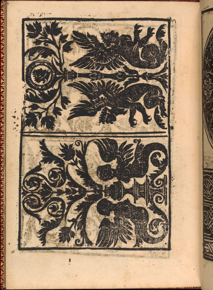 Modelbuch new, aller Art, Nehens und Stickens (page 32v) MET DP365121