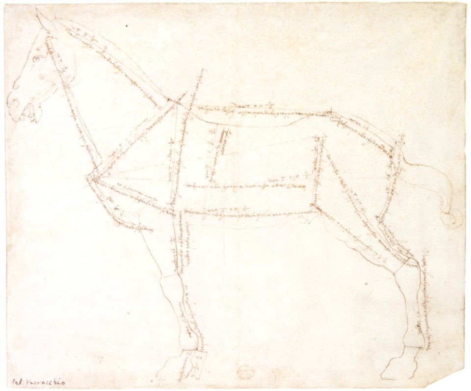 Measured Drawing of a Horse Facing Left (recto). MET DR474