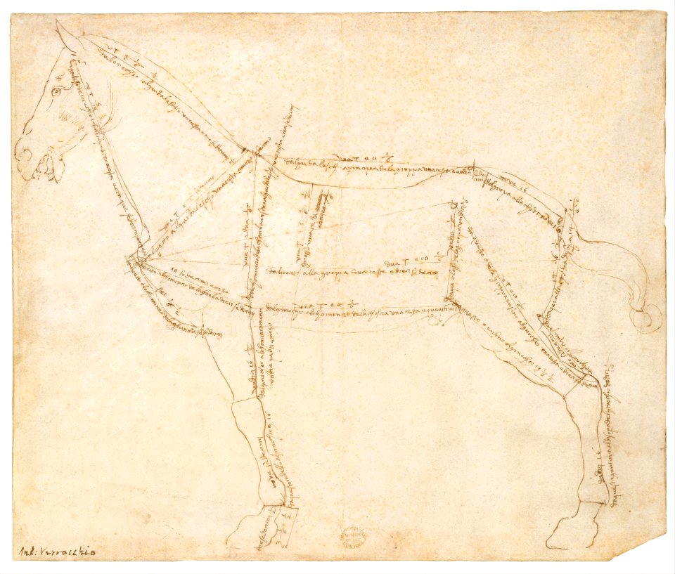 Measured Drawing of a Horse Facing Left (recto). MET DT620