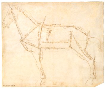 Measured Drawing of a Horse Facing Left (recto). MET DT620