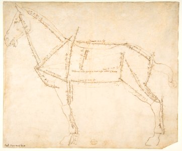 Measured Drawing of a Horse Facing Left (recto). MET DP812218
