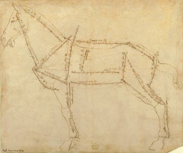 Measured Drawing of a Horse Facing Left (recto). MET 19.76.5