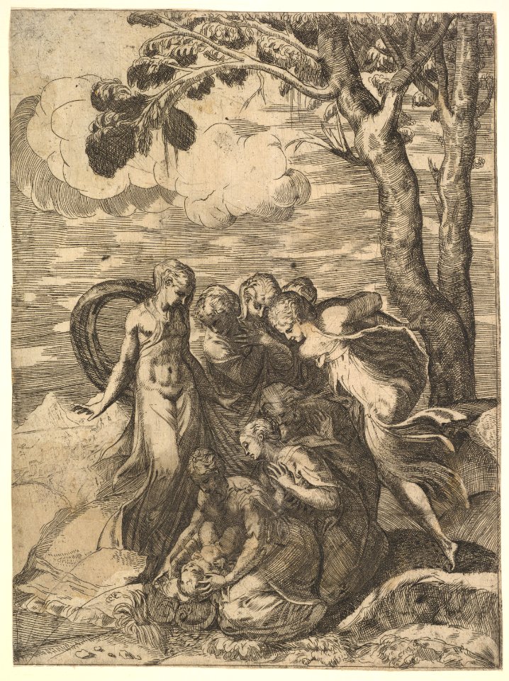 Moses Rescued from the Nile MET DP822194