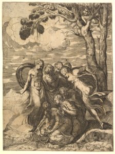 Moses Rescued from the Nile MET DP822194