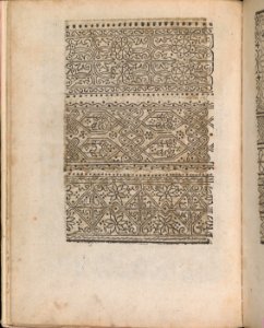 Modelbuch aller Art Nehens vn Stickens (Page 9v) MET DP369092