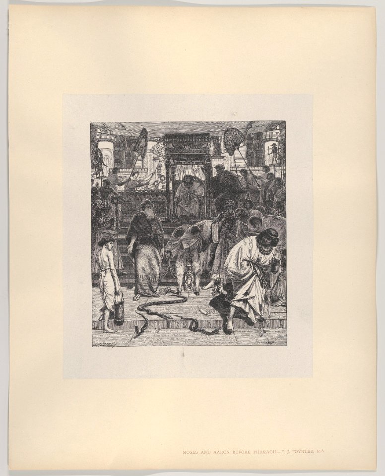 Moses and Aaron Before Pharoah (Dalziels' Bible Gallery) MET DP835875