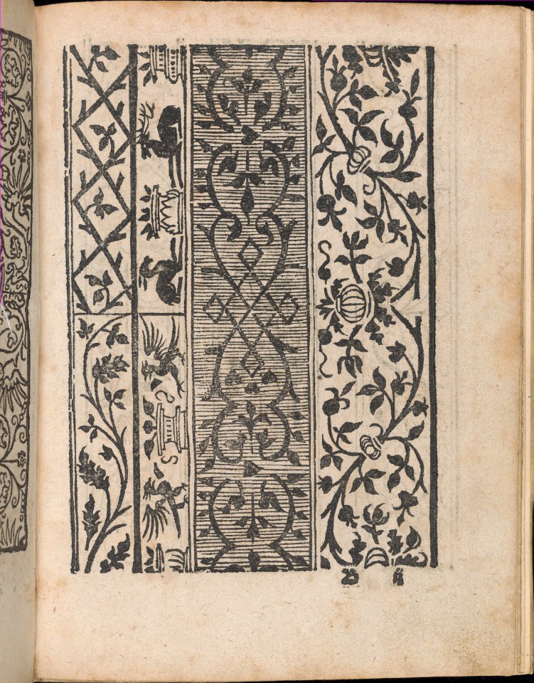Modelbuch aller Art Nehens vn Stickens (Page 6r) MET DP369085