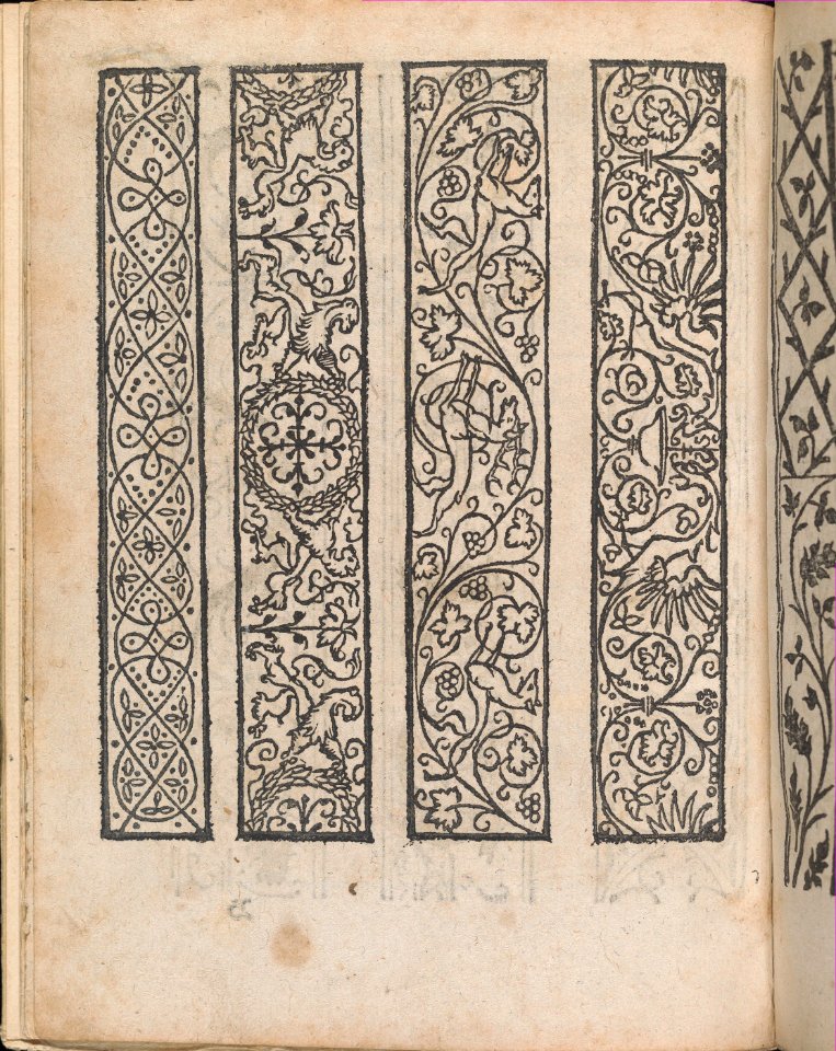 Modelbuch aller Art Nehens vn Stickens (Page 5v) MET DP369084