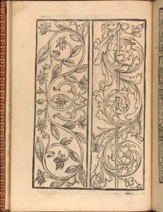 Modelbuch new, aller Art, Nehens und Stickens (page 12v) MET DP365027