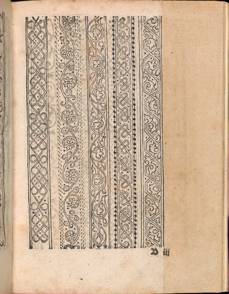 Modelbuch aller Art Nehens vn Stickens (Page 7r) MET DP369087