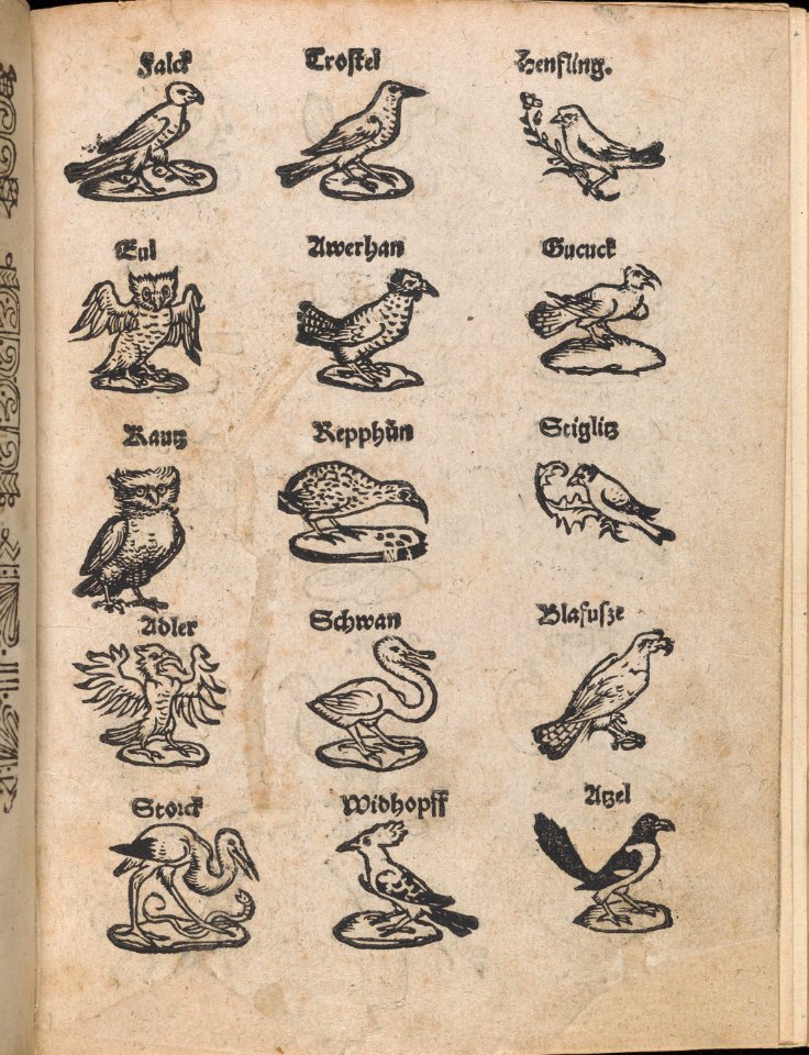 Modelbuch aller Art Nehens vn Stickens (Page 13r) MET DP369099