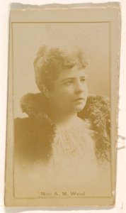 Miss A.M. Weed, from the Actresses series (N245) issued by Kinney Brothers to promote Sweet Caporal Cigarettes MET DP859846