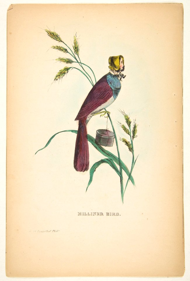 Milliner Bird (Minnie Doyle), from The Comic Natural History of the Human Race MET DP813075