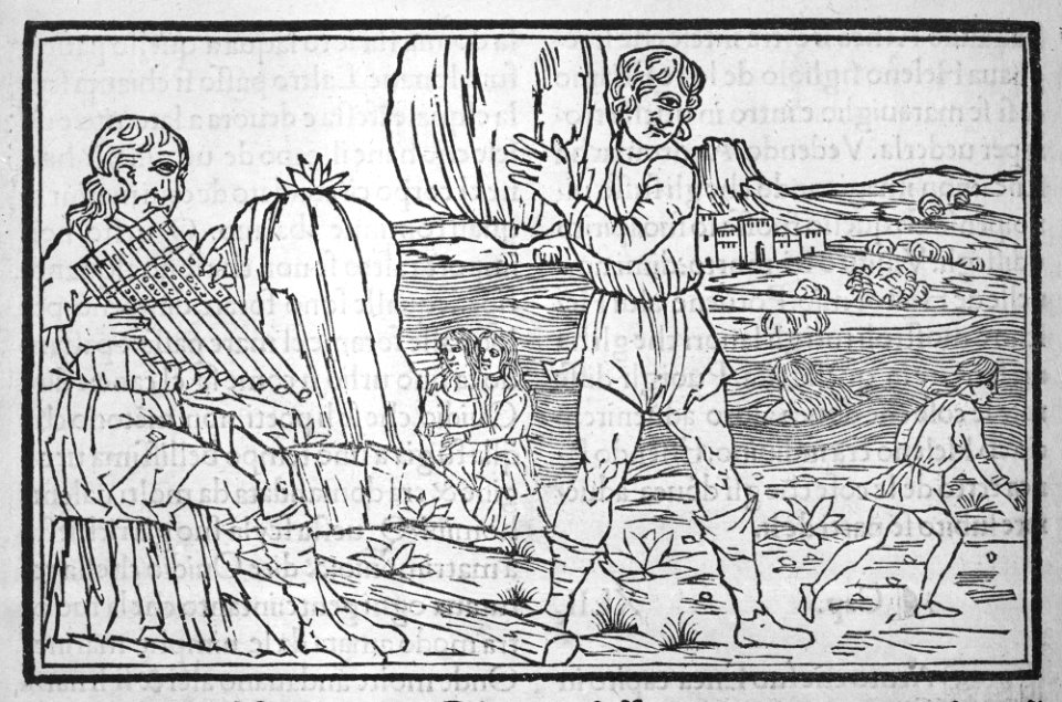 Methamorphoseos vulgare MET MM33520