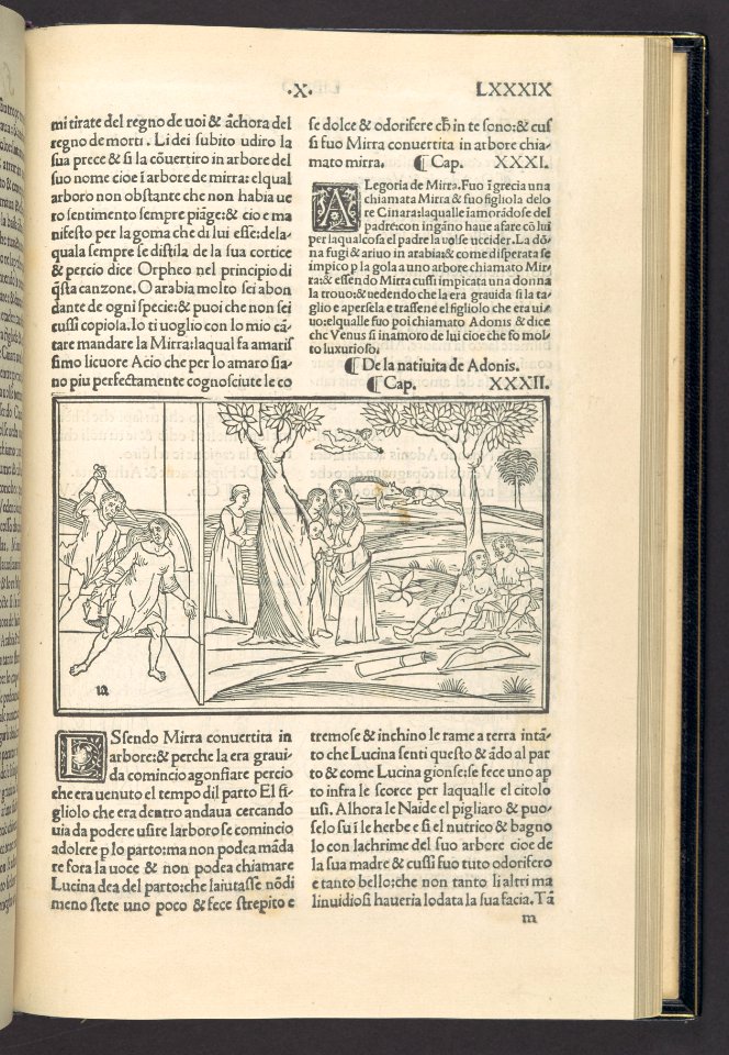 Methamorphoseos vulgare MET DP108968